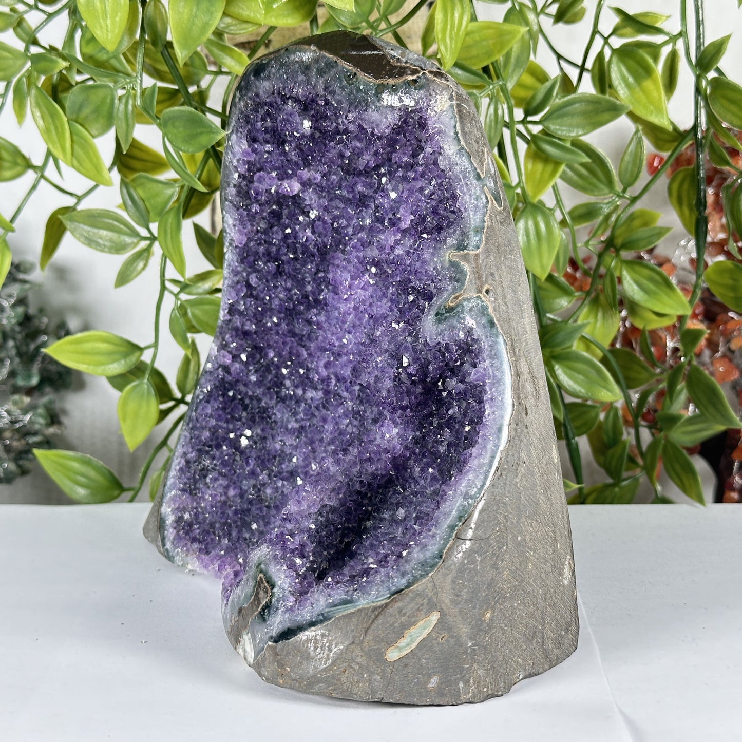 Amethyst Crystal Geode - Gem Avenue Retail