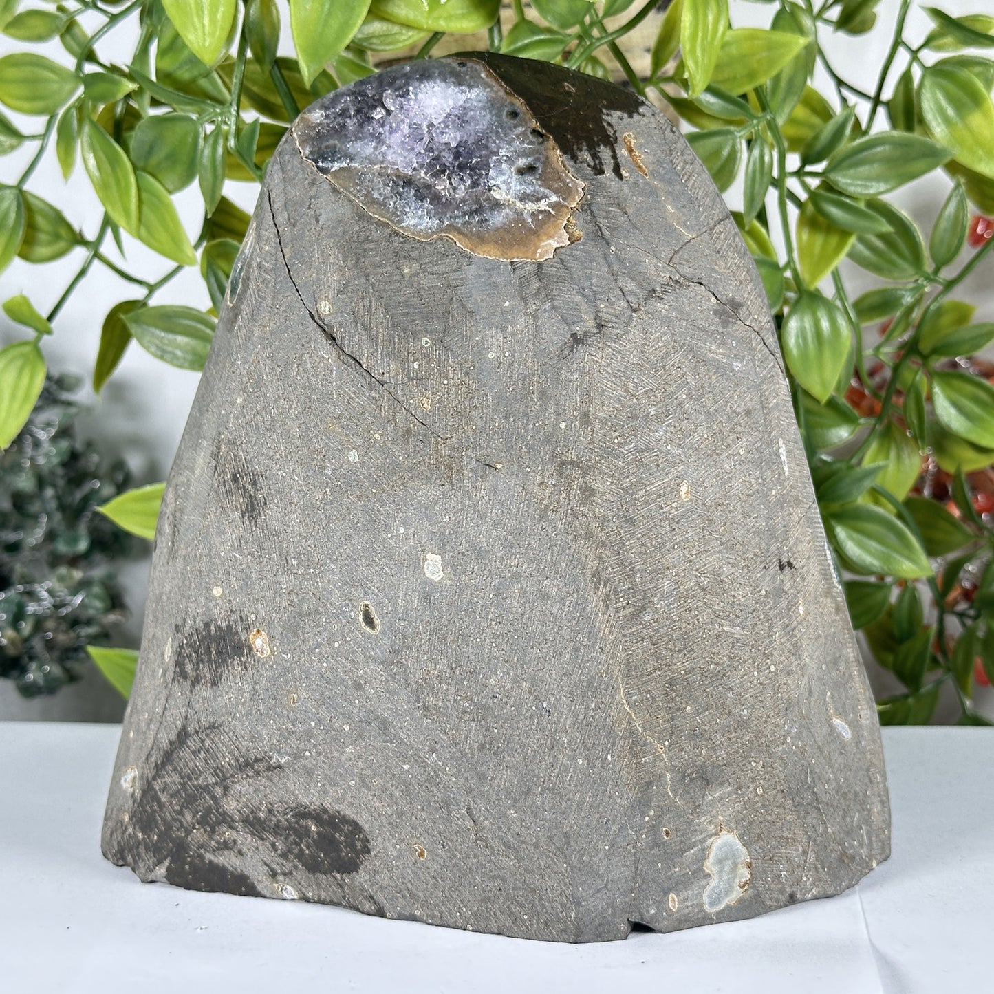 Amethyst Crystal Geode - Gem Avenue Retail