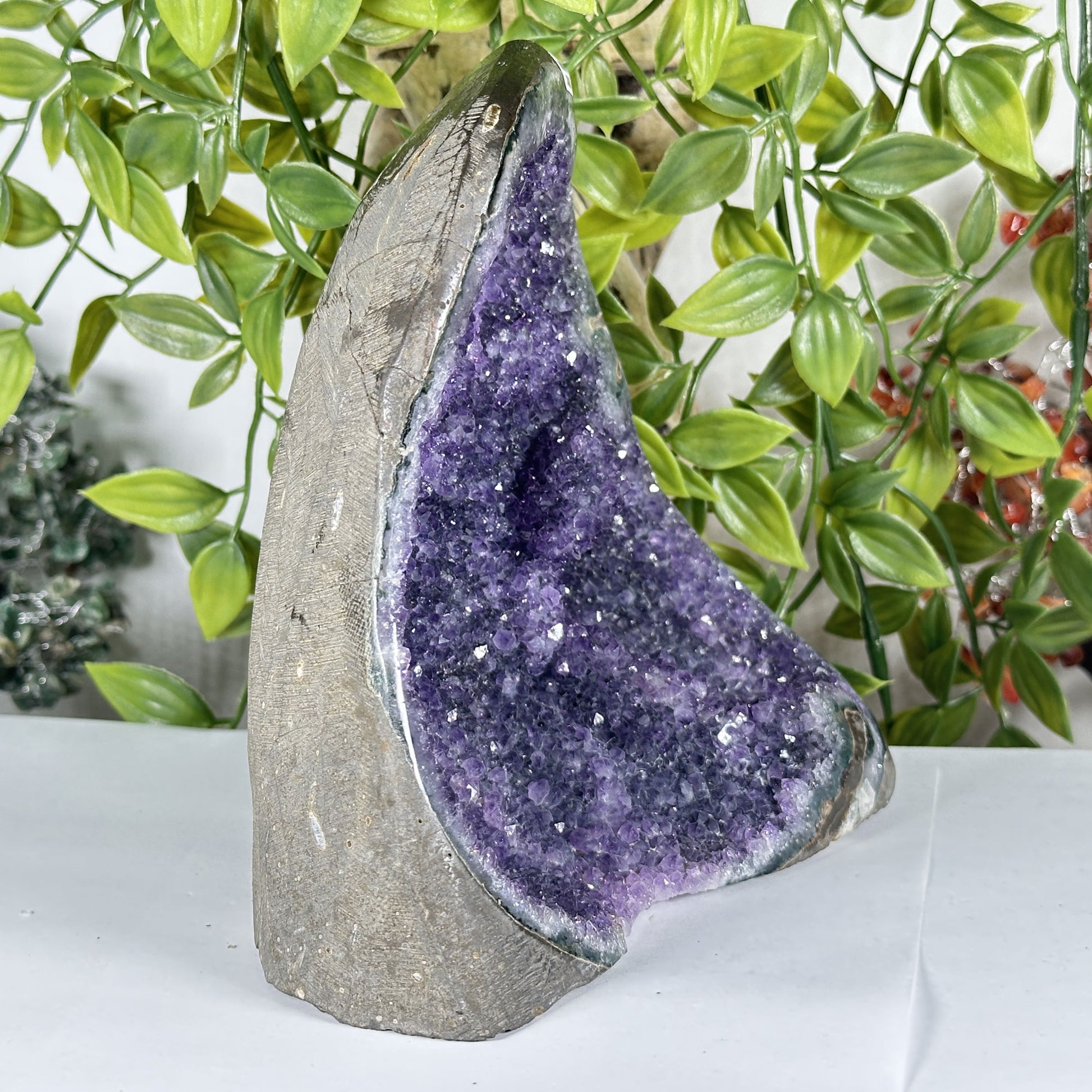 Amethyst Crystal Geode - Gem Avenue Retail