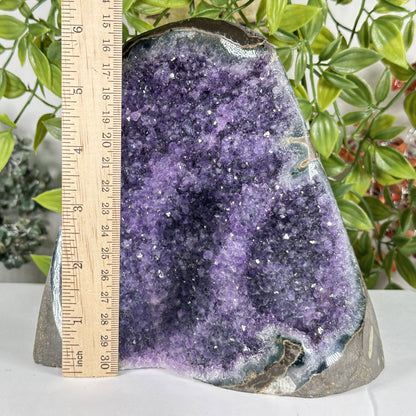 Amethyst Crystal Geode - Gem Avenue Retail