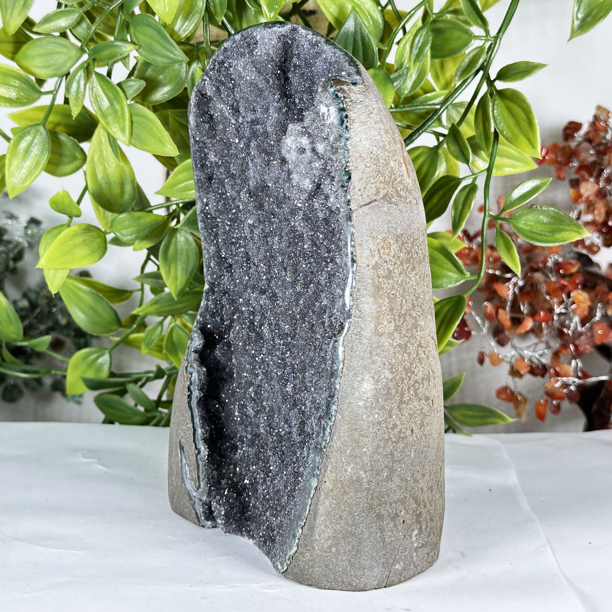 Black Amethyst Crystal Geode - Gem Avenue Retail