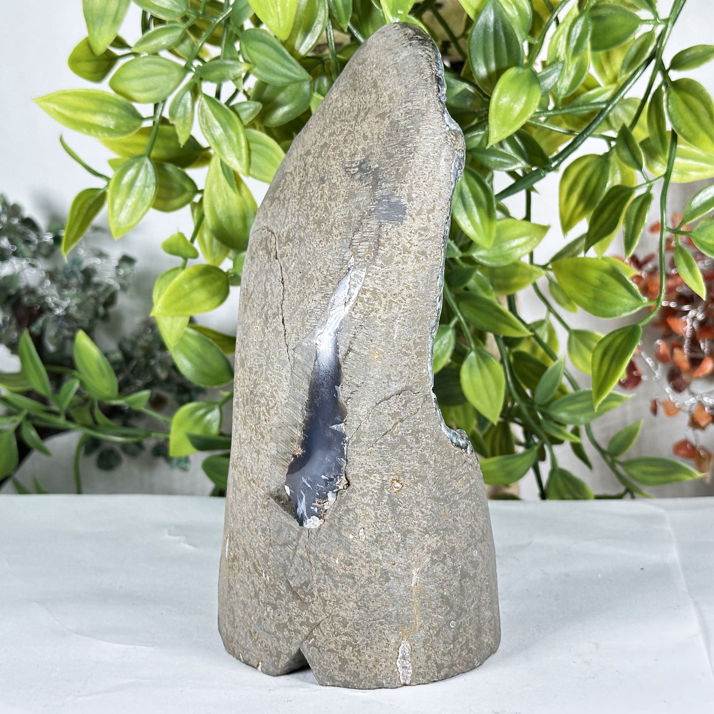 Black Amethyst Crystal Geode - Gem Avenue Retail