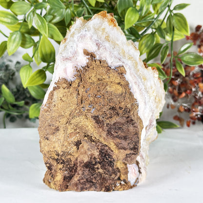 Natural Citrine Crystal Geode - Gem Avenue Retail