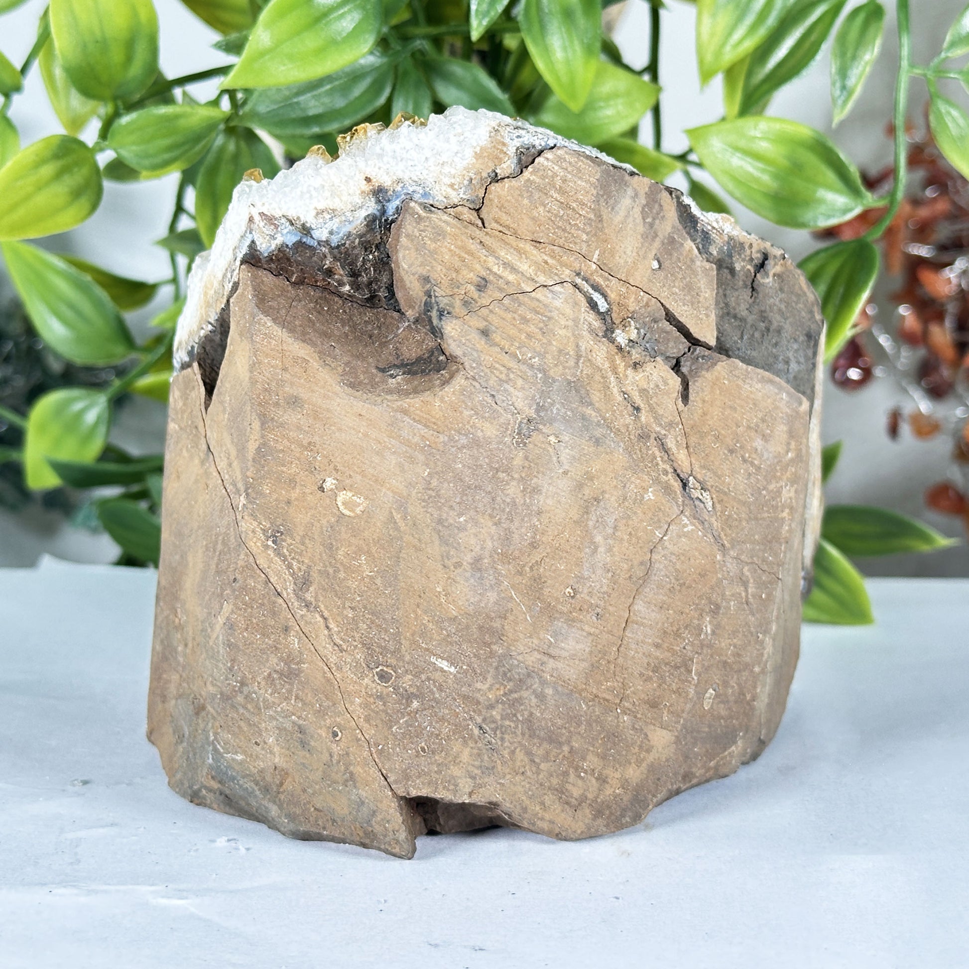 Natural Citrine Crystal Geode - Gem Avenue Retail
