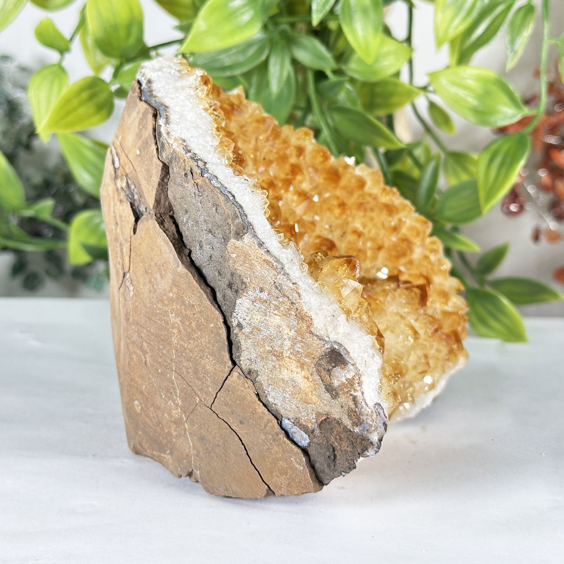 Natural Citrine Crystal Geode - Gem Avenue Retail