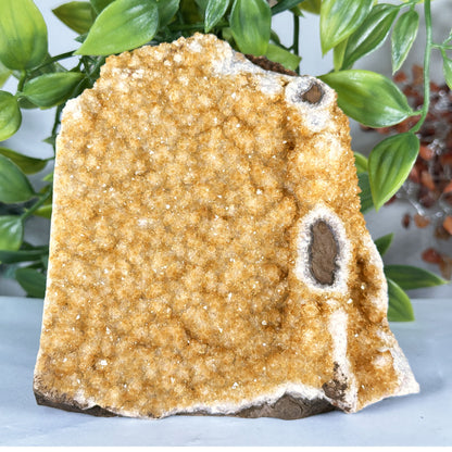 Natural Citrine Crystal Geode - Gem Avenue Retail
