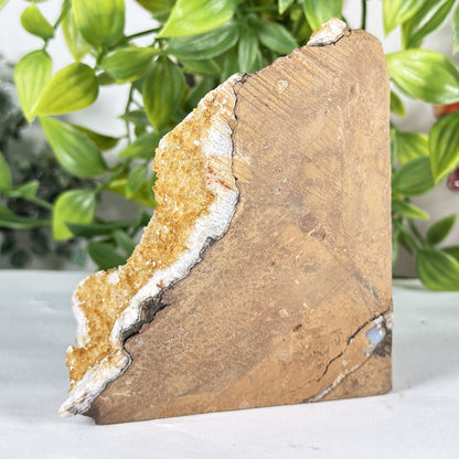 Natural Citrine Crystal Geode - Gem Avenue Retail