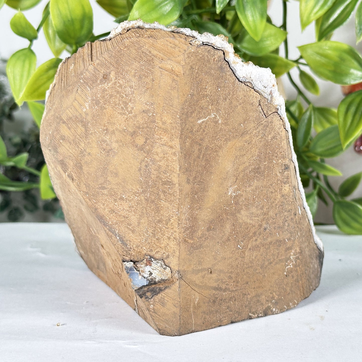 Natural Citrine Crystal Geode - Gem Avenue Retail