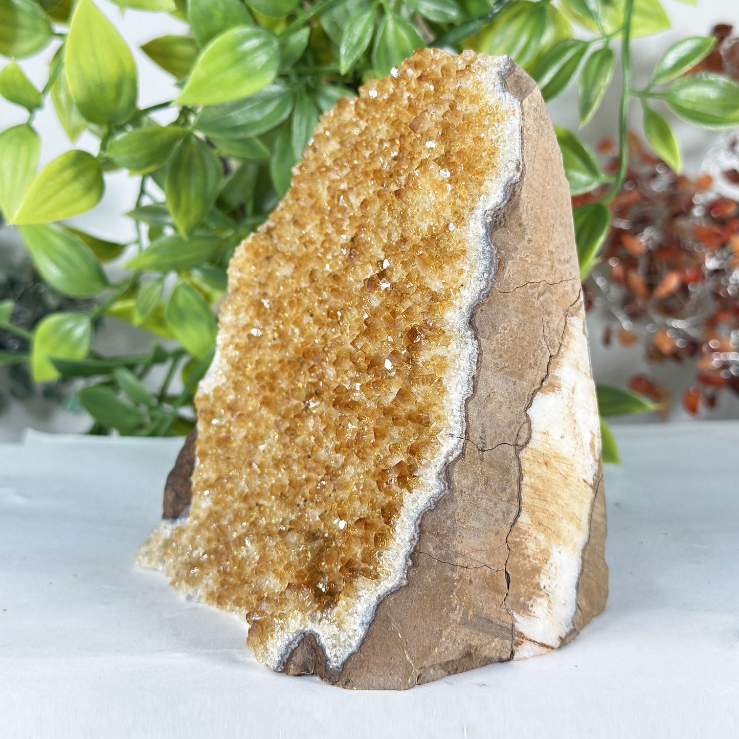 Natural Citrine Crystal Geode - Gem Avenue Retail