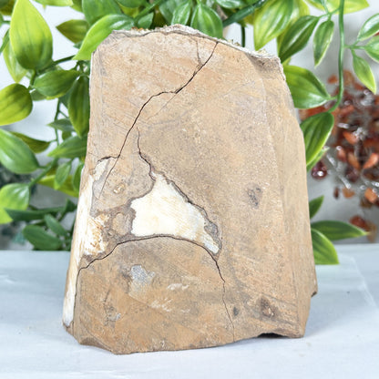 Natural Citrine Crystal Geode - Gem Avenue Retail