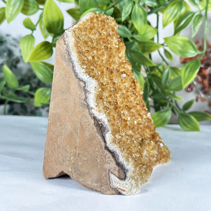 Natural Citrine Crystal Geode - Gem Avenue Retail