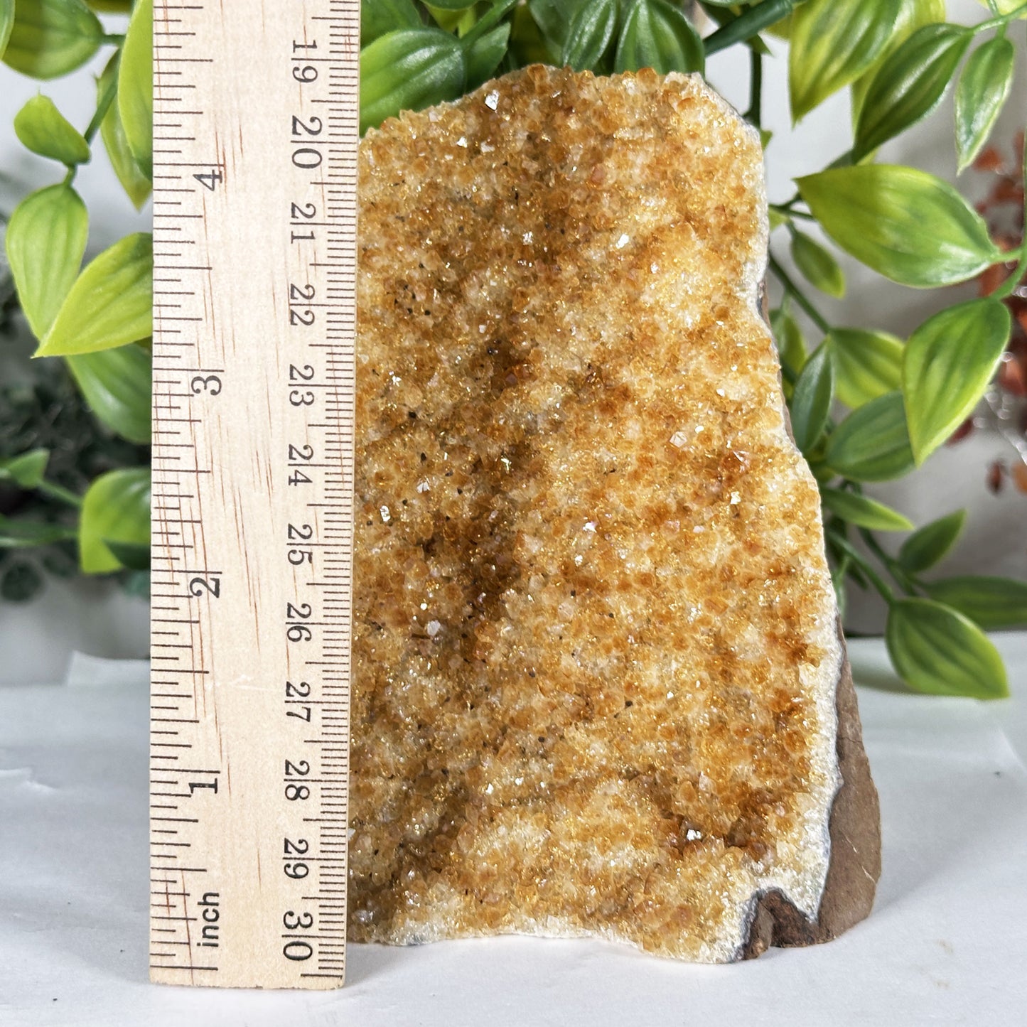 Natural Citrine Crystal Geode - Gem Avenue Retail