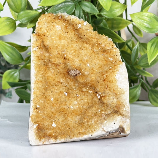Natural Citrine Crystal Geode - Gem Avenue Retail