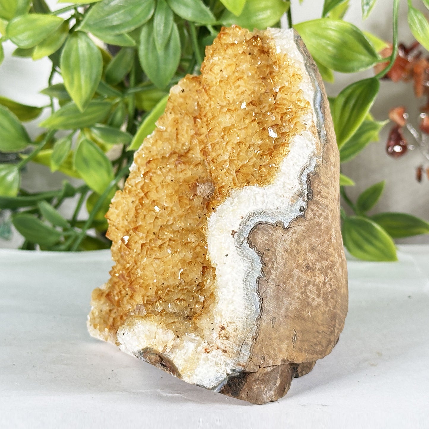 Natural Citrine Crystal Geode - Gem Avenue Retail