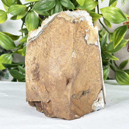 Natural Citrine Crystal Geode - Gem Avenue Retail
