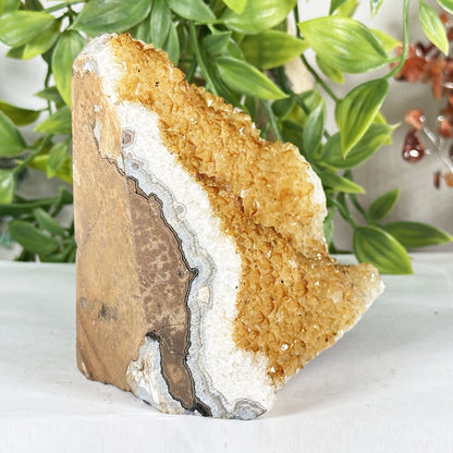 Natural Citrine Crystal Geode - Gem Avenue Retail