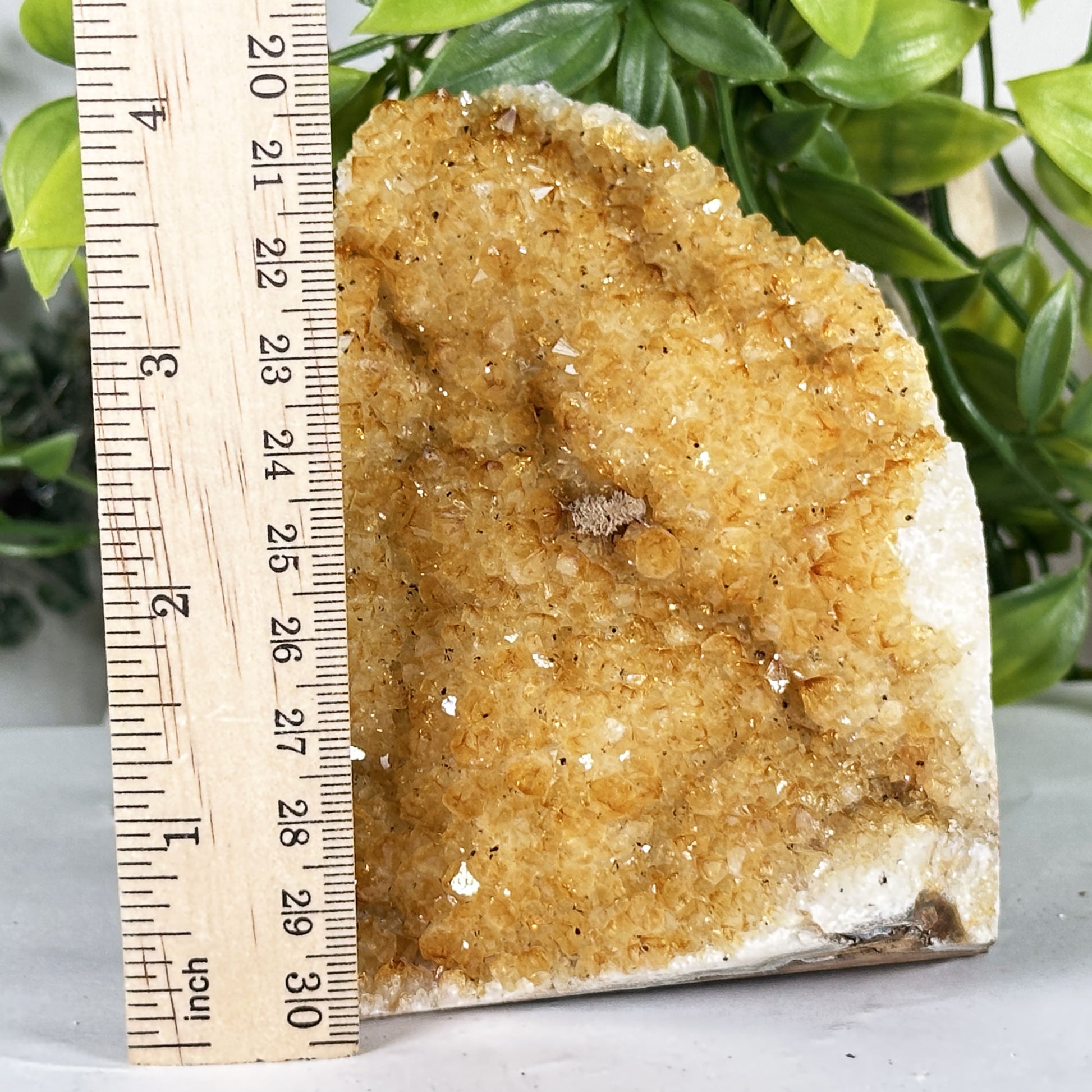 Natural Citrine Crystal Geode - Gem Avenue Retail