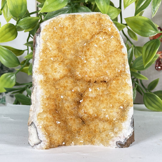 Natural Citrine Crystal Geode  - Gem Avenue Retail