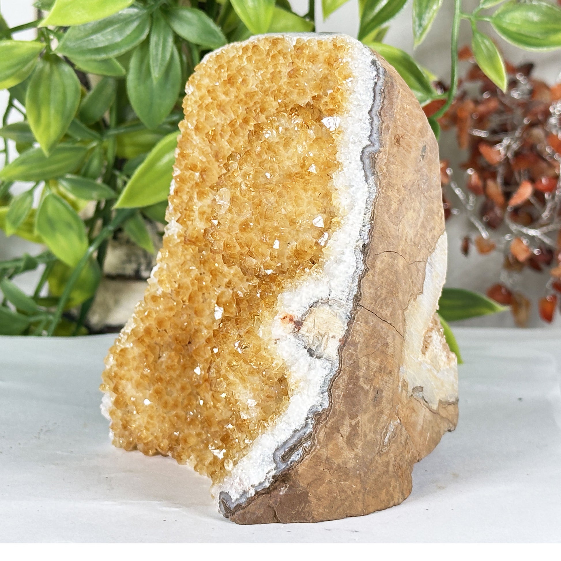 Natural Citrine Crystal Geode  - Gem Avenue Retail