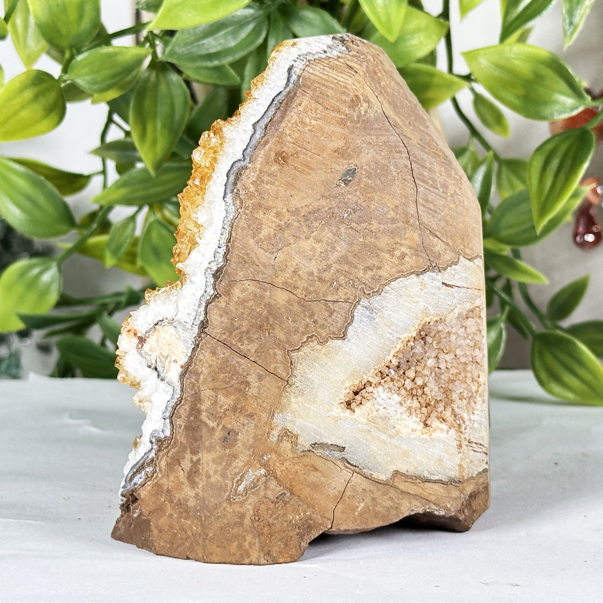 Natural Citrine Crystal Geode  - Gem Avenue Retail