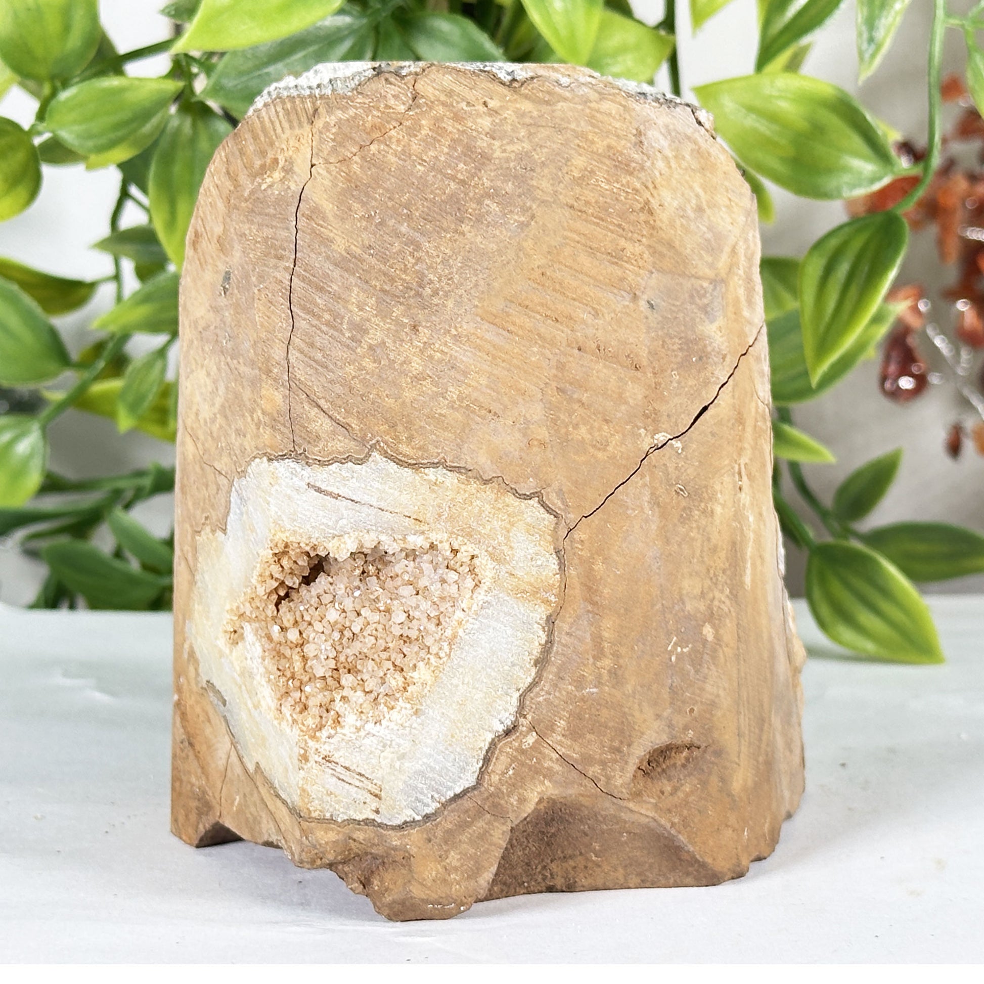 Natural Citrine Crystal Geode  - Gem Avenue Retail