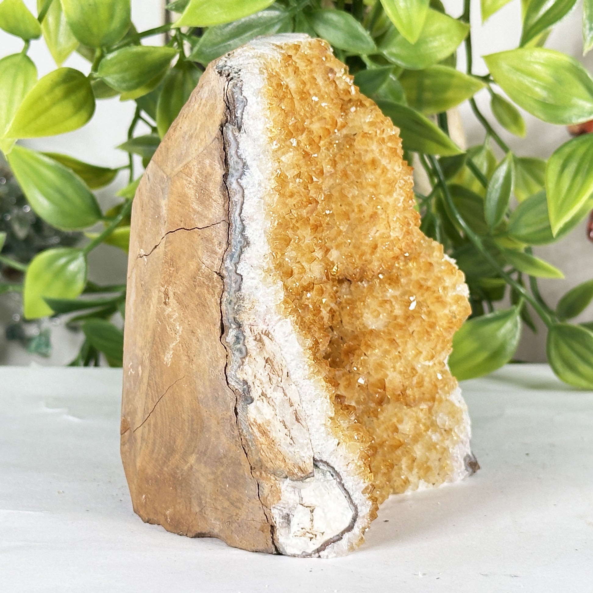 Natural Citrine Crystal Geode  - Gem Avenue Retail