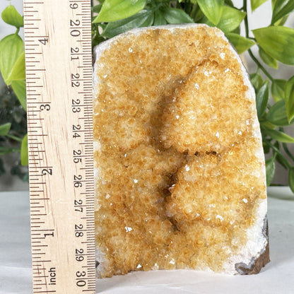 Natural Citrine Crystal Geode  - Gem Avenue Retail