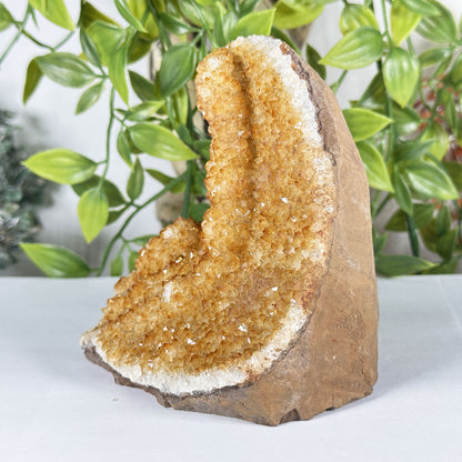 Citrine Crystal Geode - Gem Avenue Retail