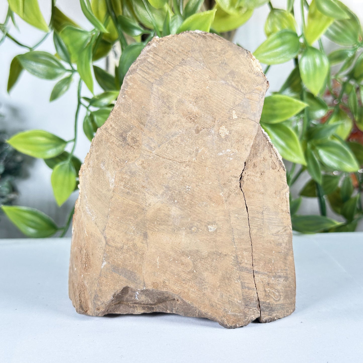 Citrine Crystal Geode - Gem Avenue Retail
