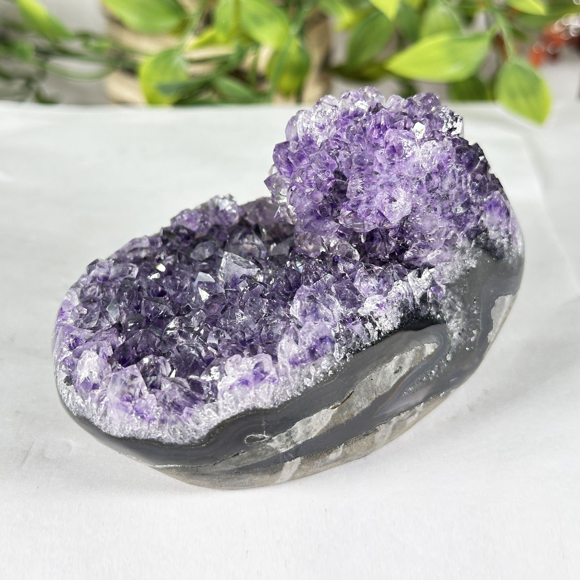 Deep Purple Amethyst Crystal Geode - Gem Avenue Retail
