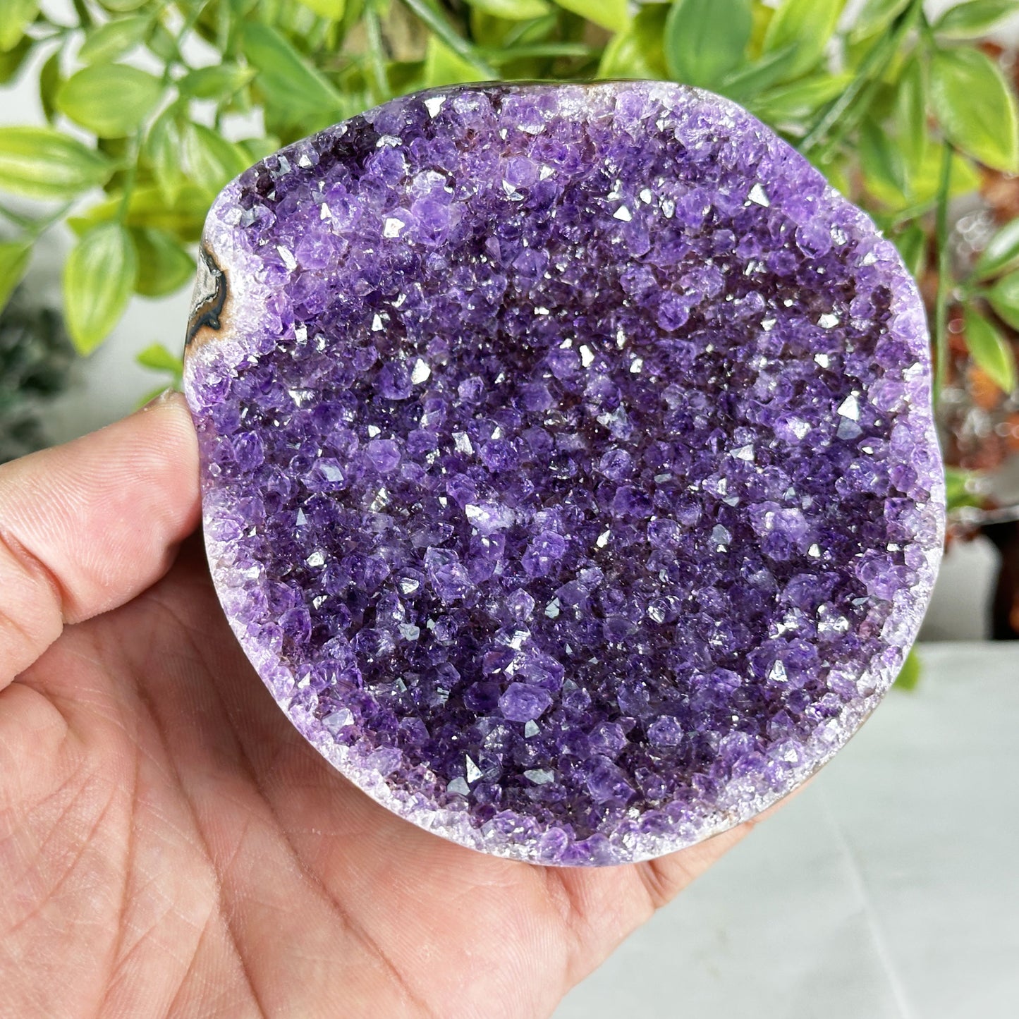Deep Purple Amethyst Crystal Geode -Gem Avenue Retail