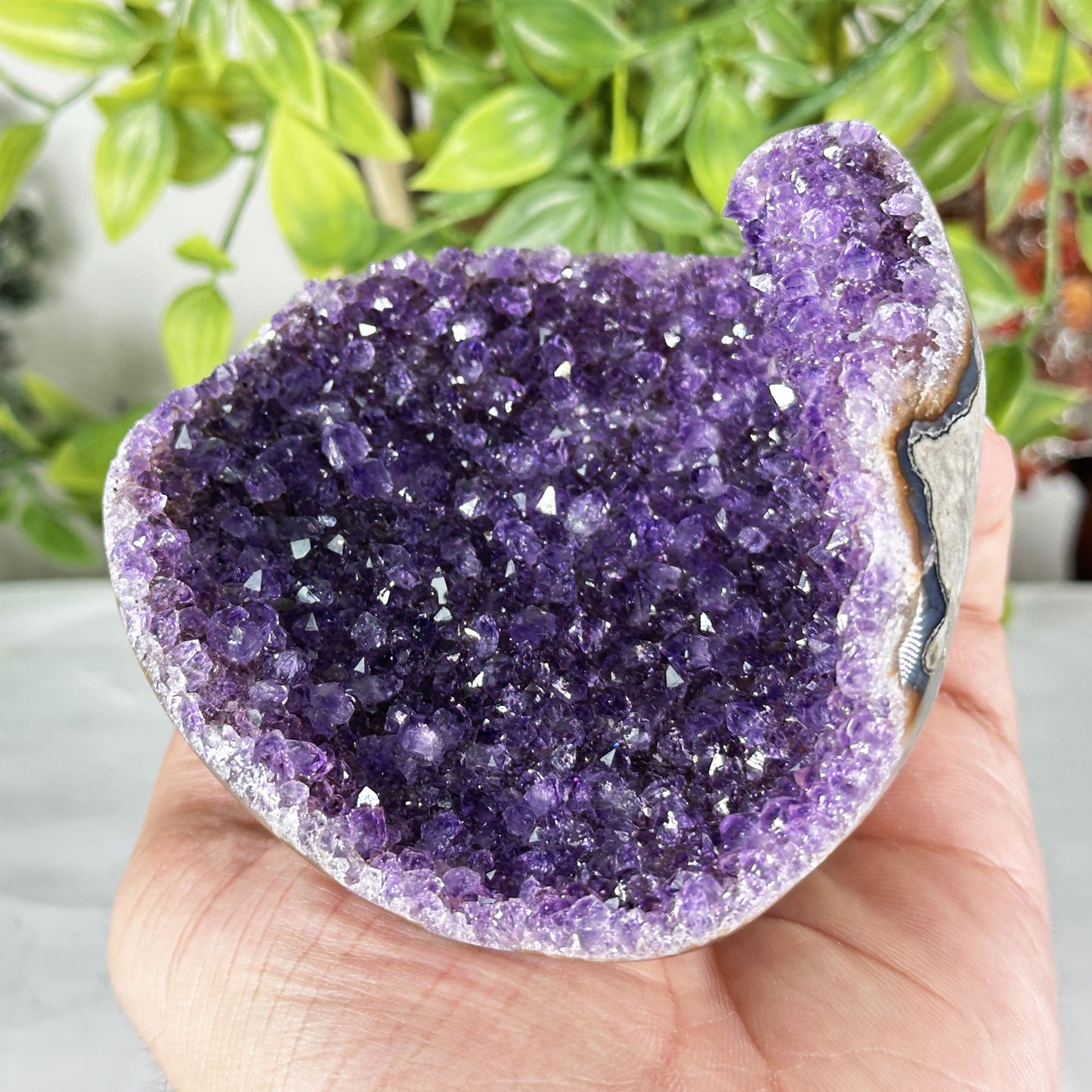 Deep Purple Amethyst Crystal Geode -Gem Avenue Retail