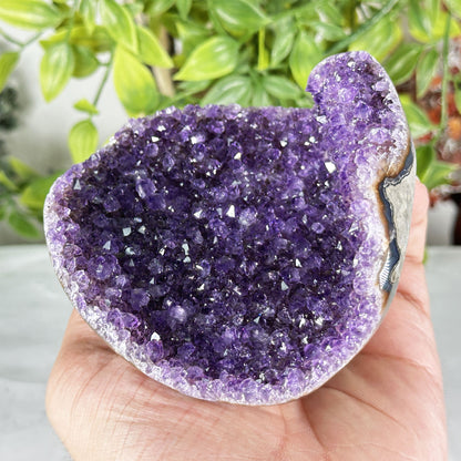 Deep Purple Amethyst Crystal Geode -Gem Avenue Retail