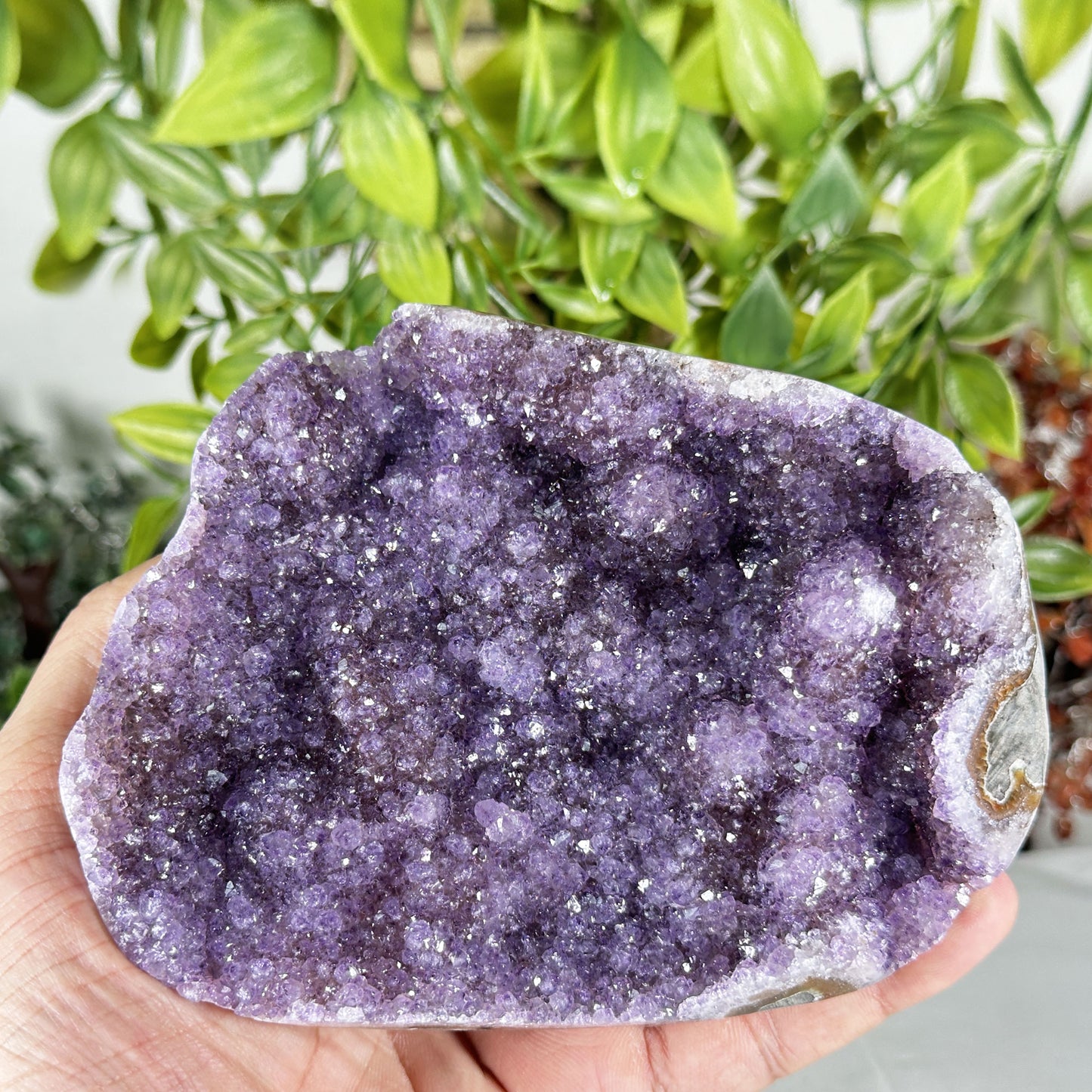 Deep Purple Amethyst Crystal Geode - Gem Avenue Retail