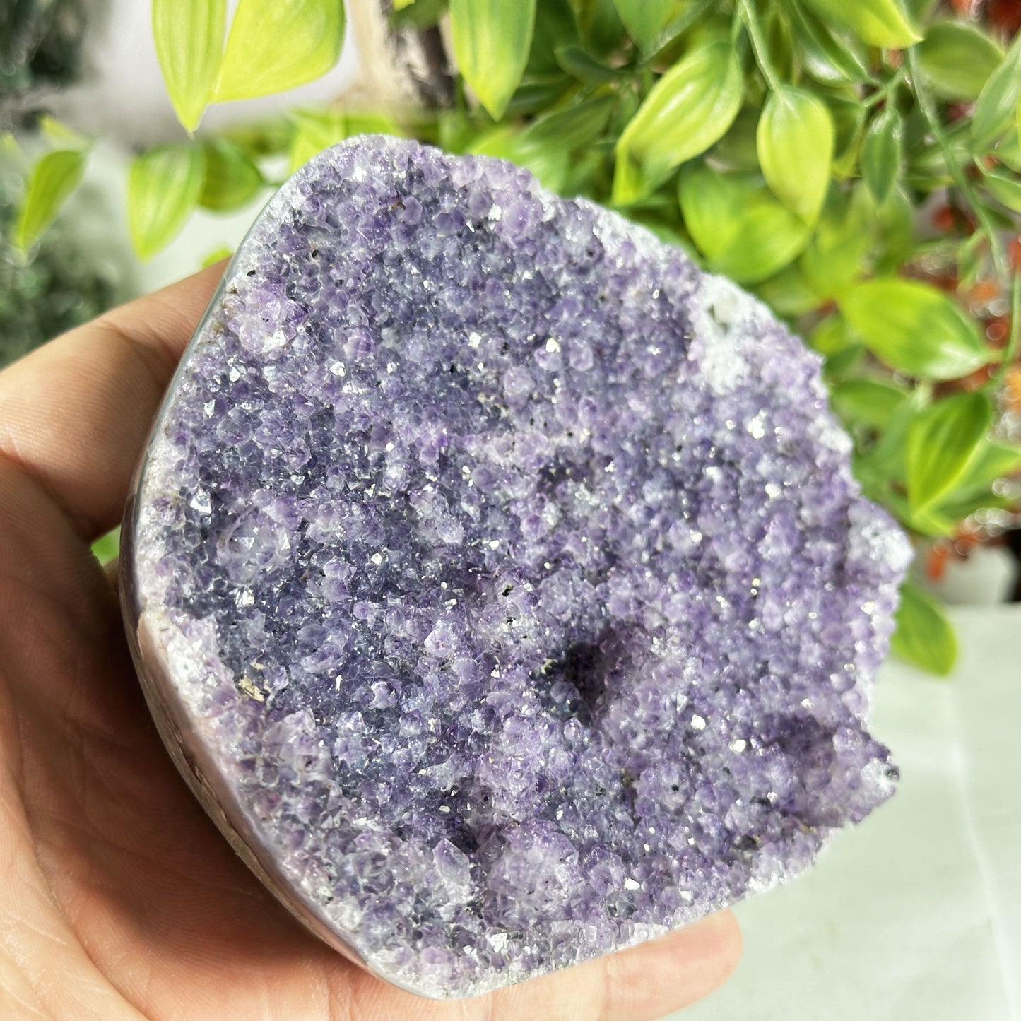 Deep Purple Amethyst Crystal Geode - Gem Avenue Retail