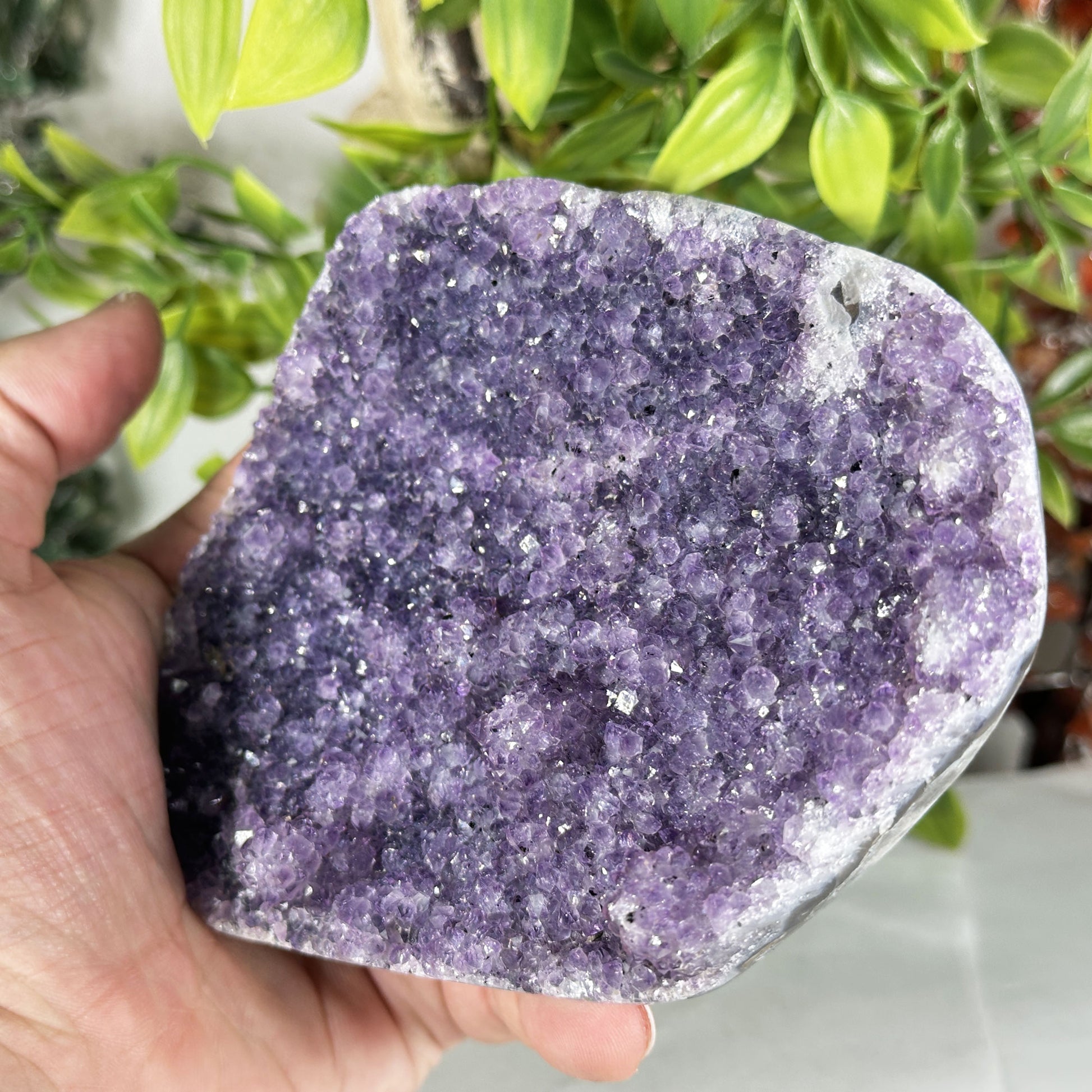 Deep Purple Amethyst Crystal Geode - Gem Avenue Retail