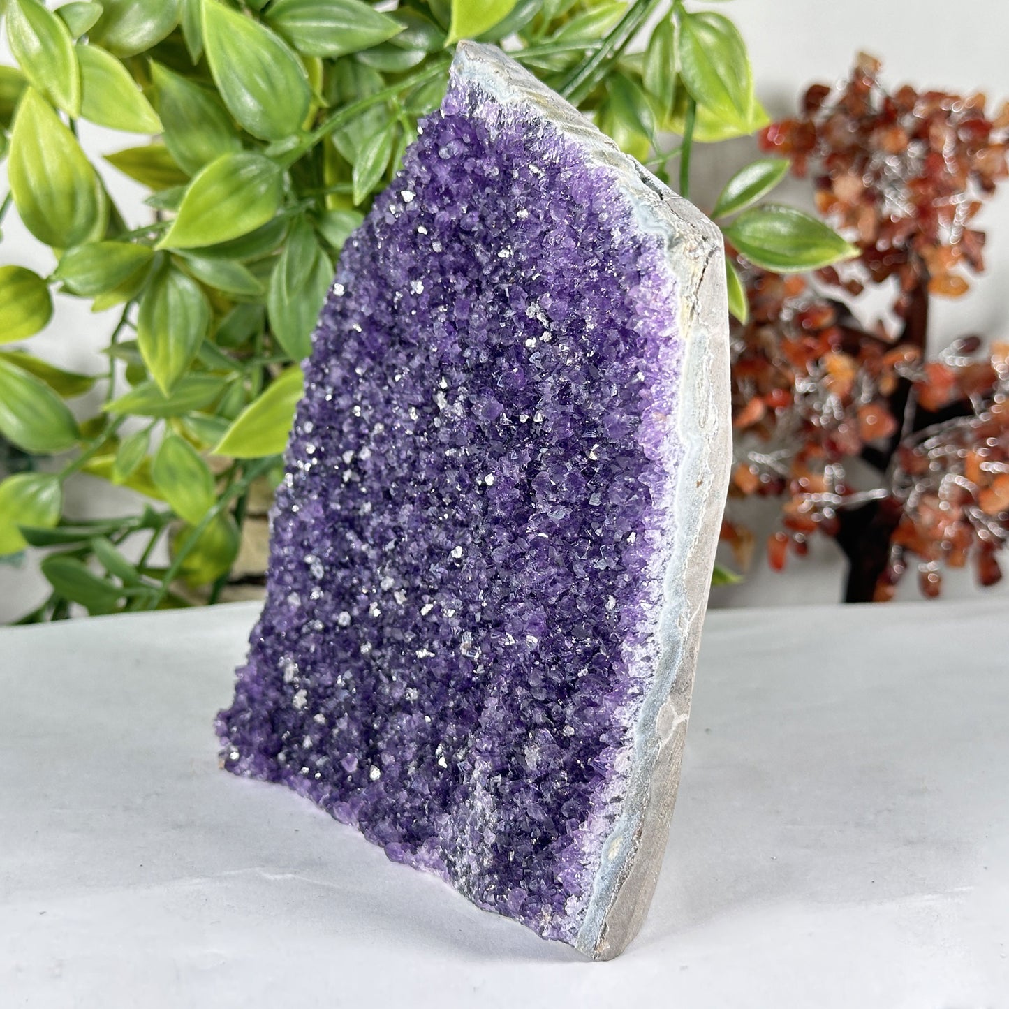Amethyst Crystal Geode - Gem Avenue Retail