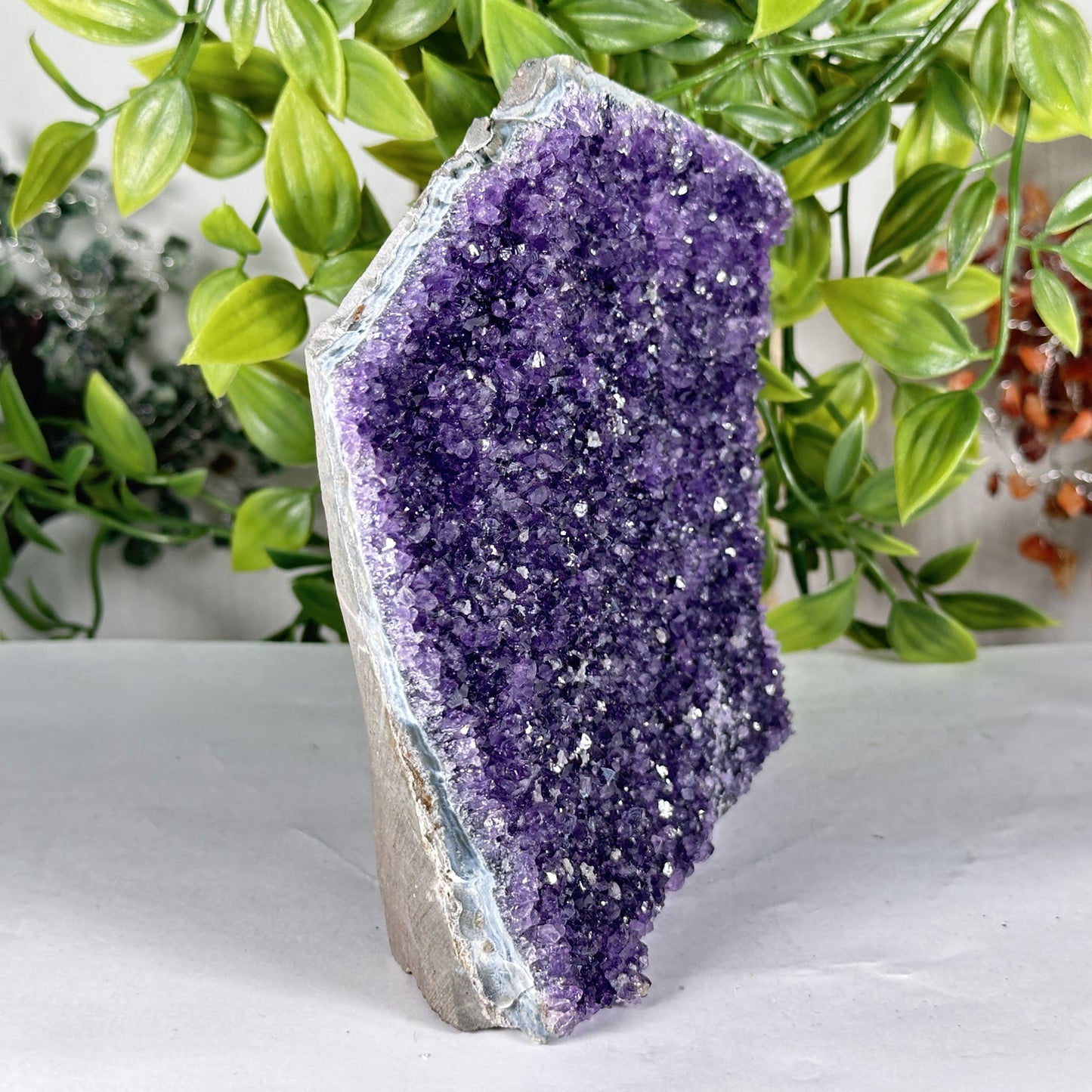 Amethyst Crystal Geode - Gem Avenue Retail