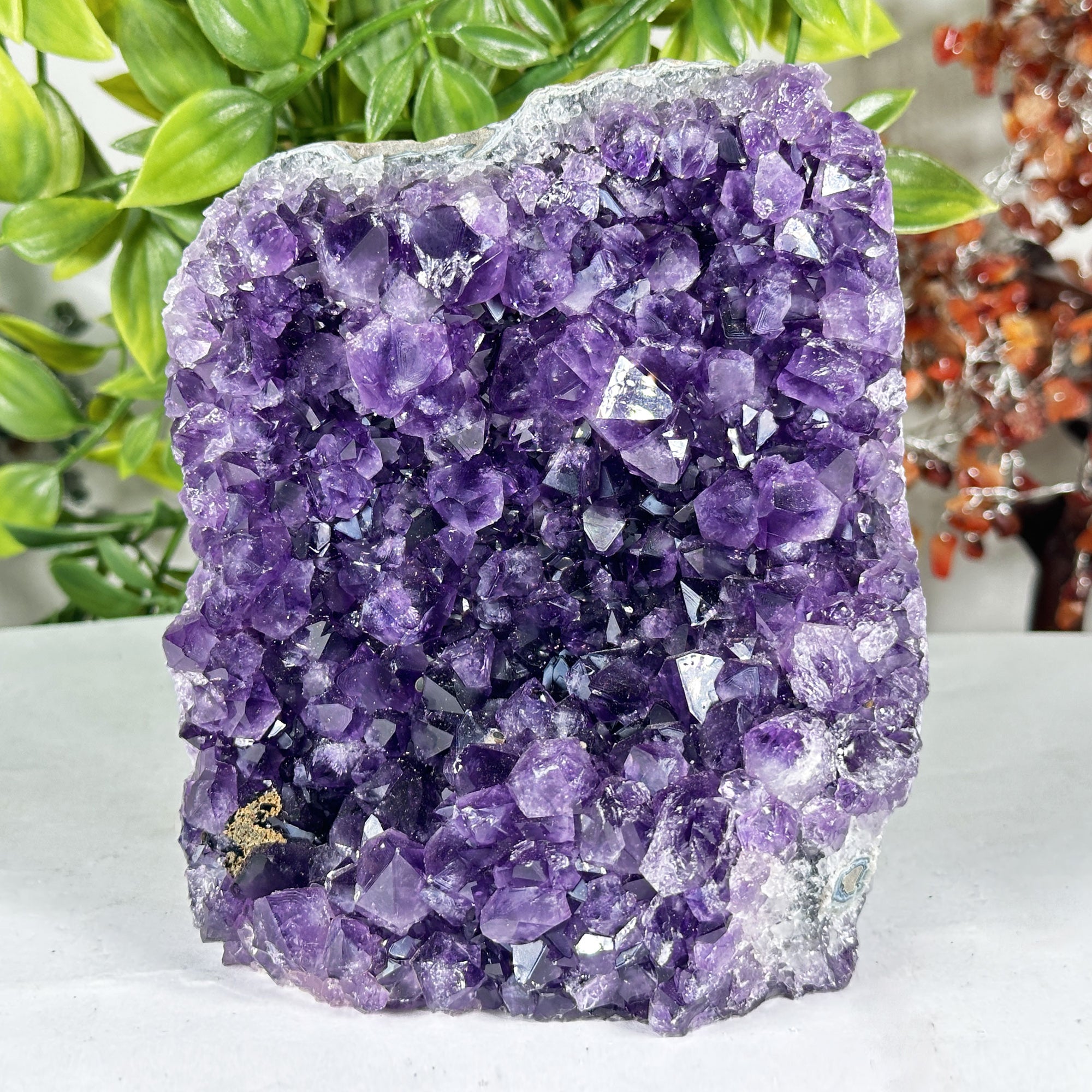 Naturel Violet Étoile Améthyste Cabochon Forme Ovale 65 Carats Libre
