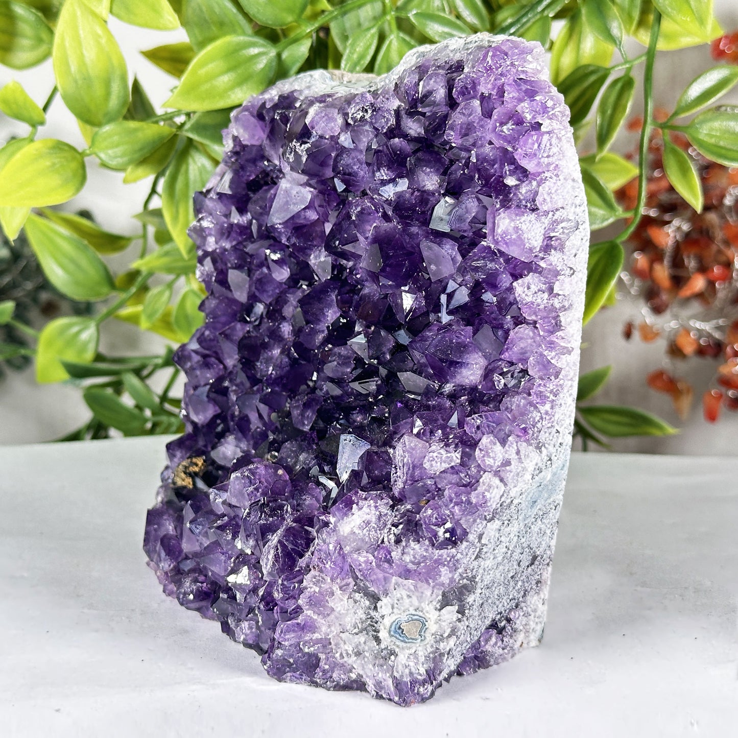 Amethyst Crystal Geode - Gem Avenue Retail