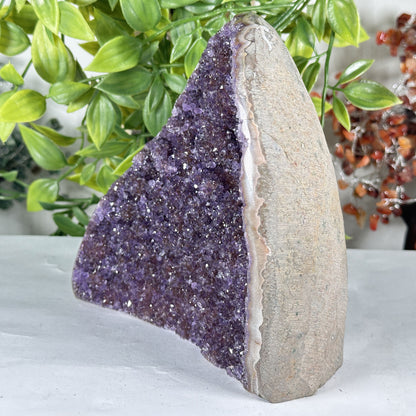 Amethyst Crystal Geode - Gem Avenue Retail