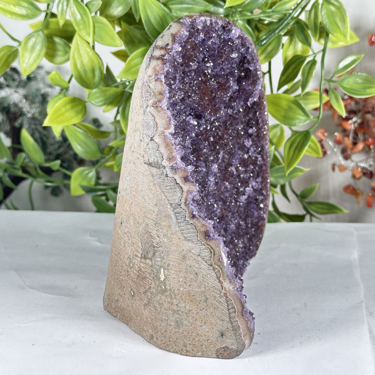 Amethyst Crystal Geode - Gem Avenue Retail