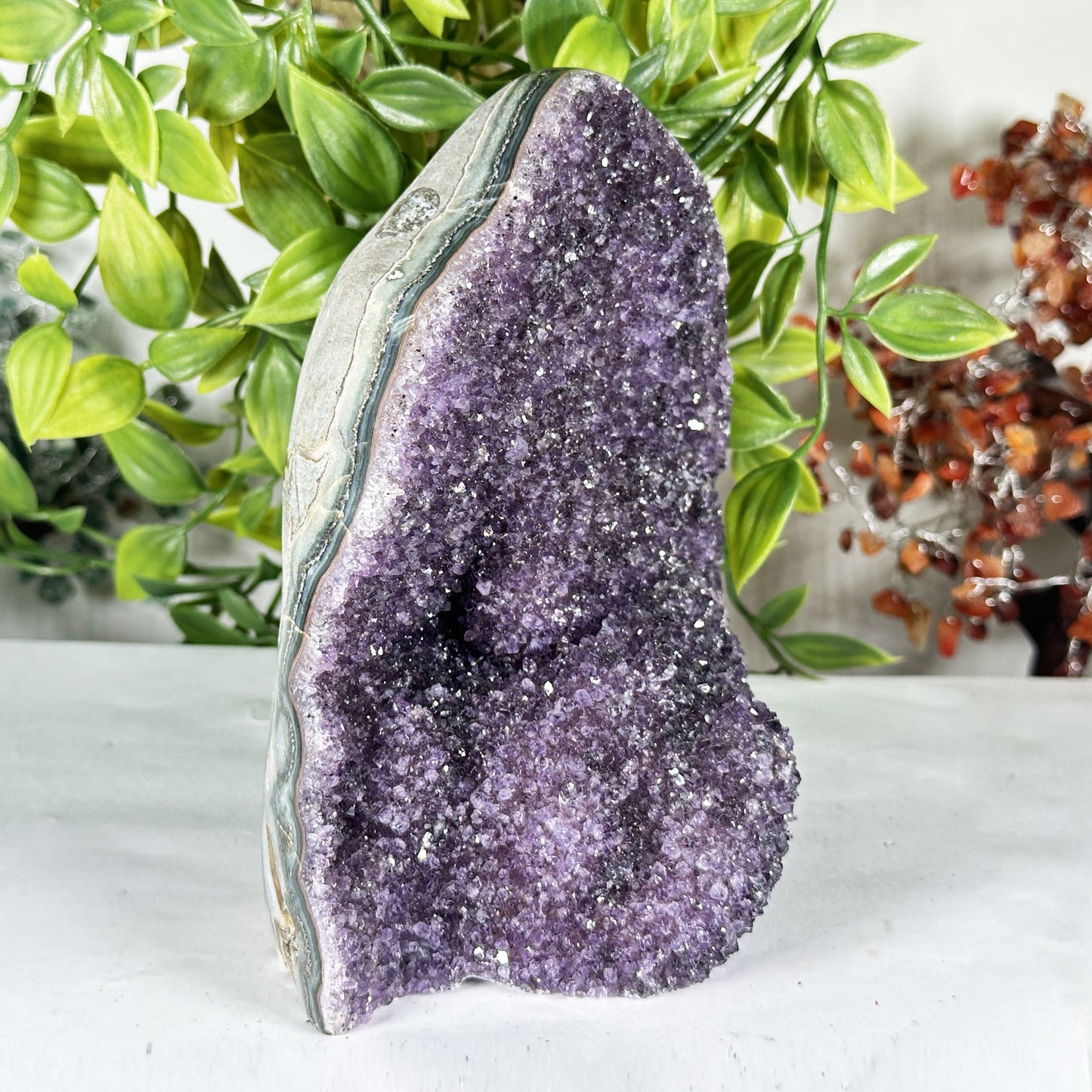 Amethyst Crystal Geode - Gem Avenue Retail