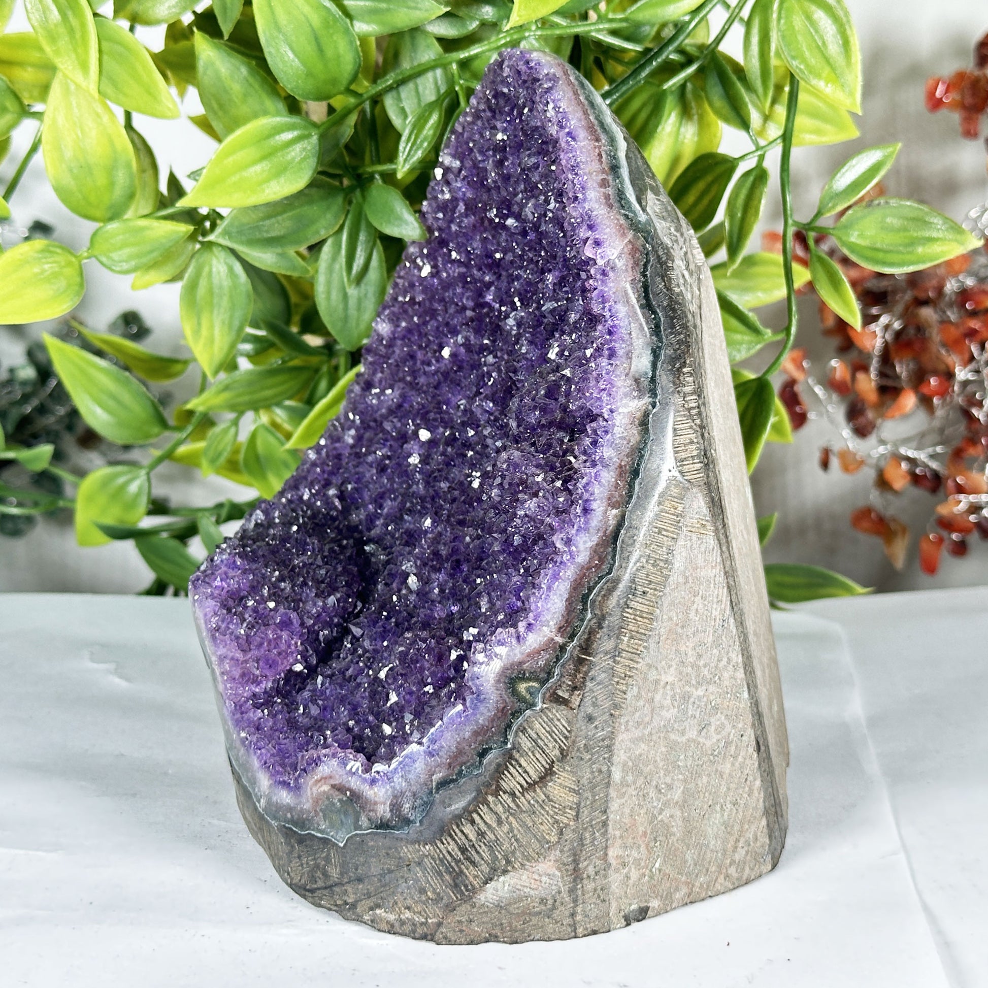 Amethyst Crystal Geode - Gem Avenue Retail