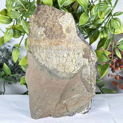 Amethyst Crystal Geode - Gem Avenue Retail