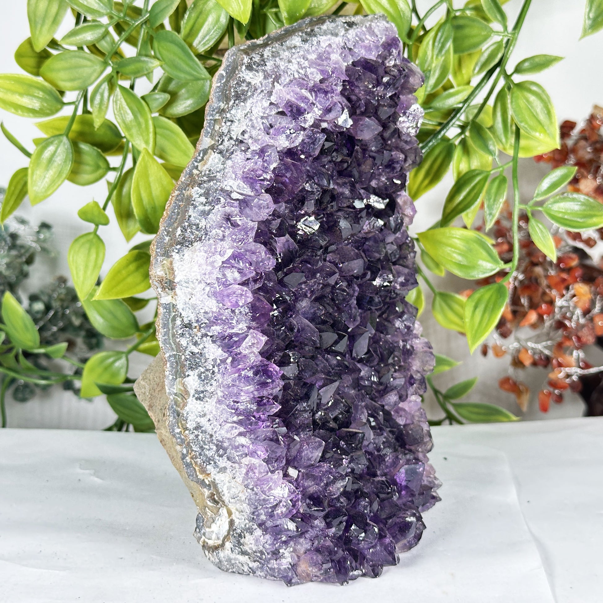 Amethyst Crystal Geode - Gem Avenue Retail