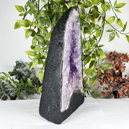 Amethyst Crystal Geode - Gem Avenue Retail