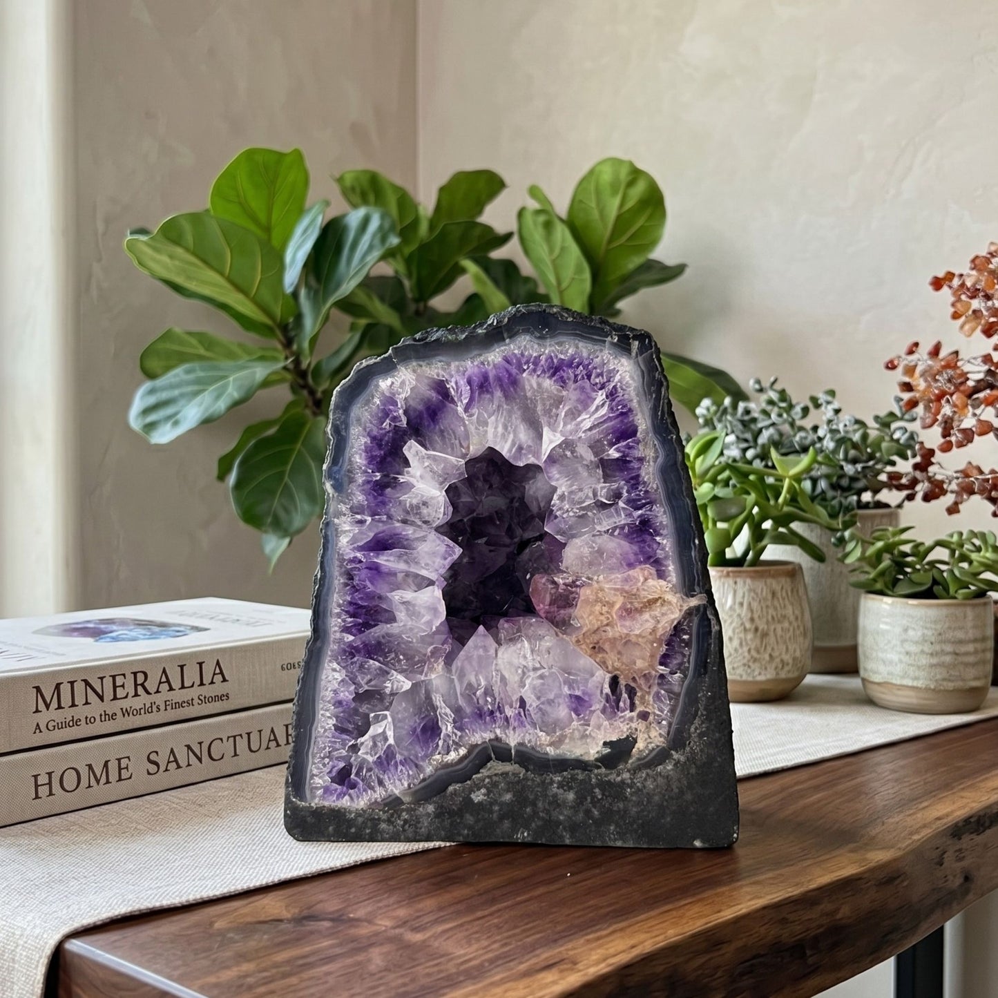 Natural Deep Purple Amethyst Geode Brazil 8" Large Display Crystal Cluster