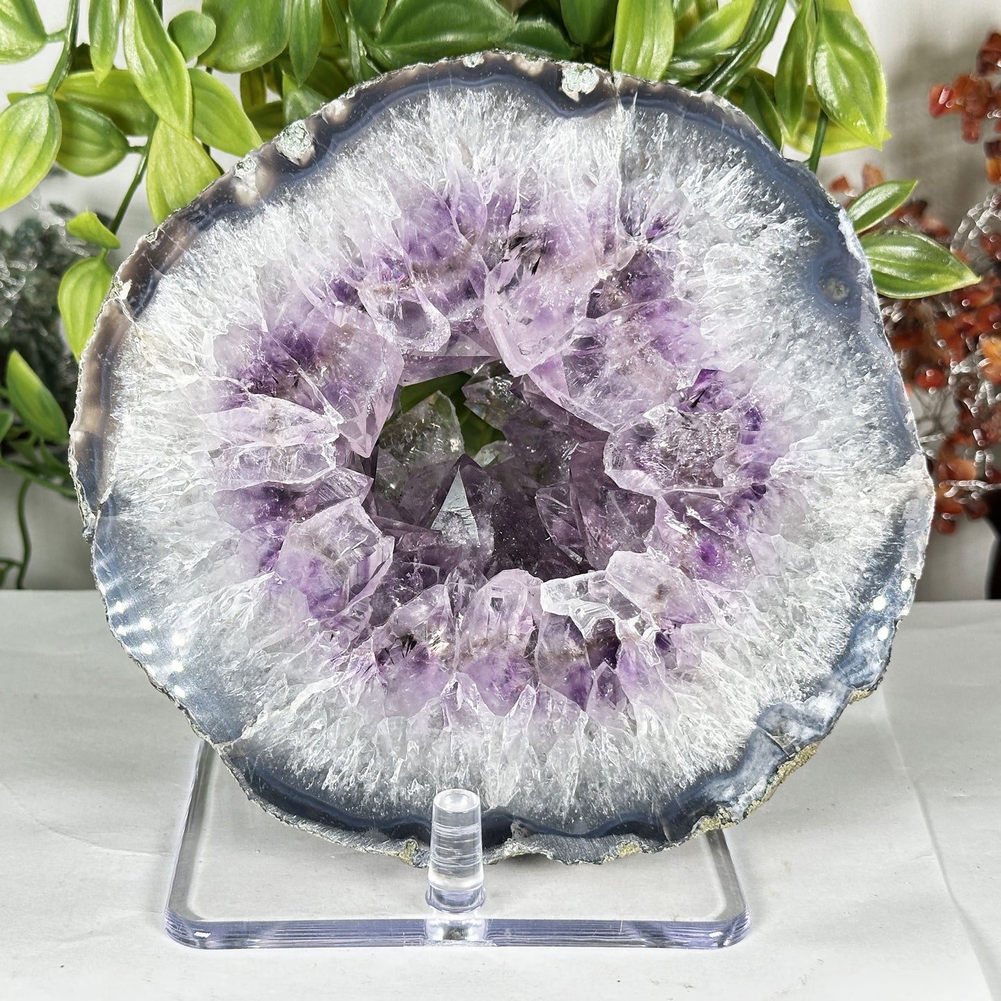 Amethyst Crystal Geode - Gem Avenue Retail