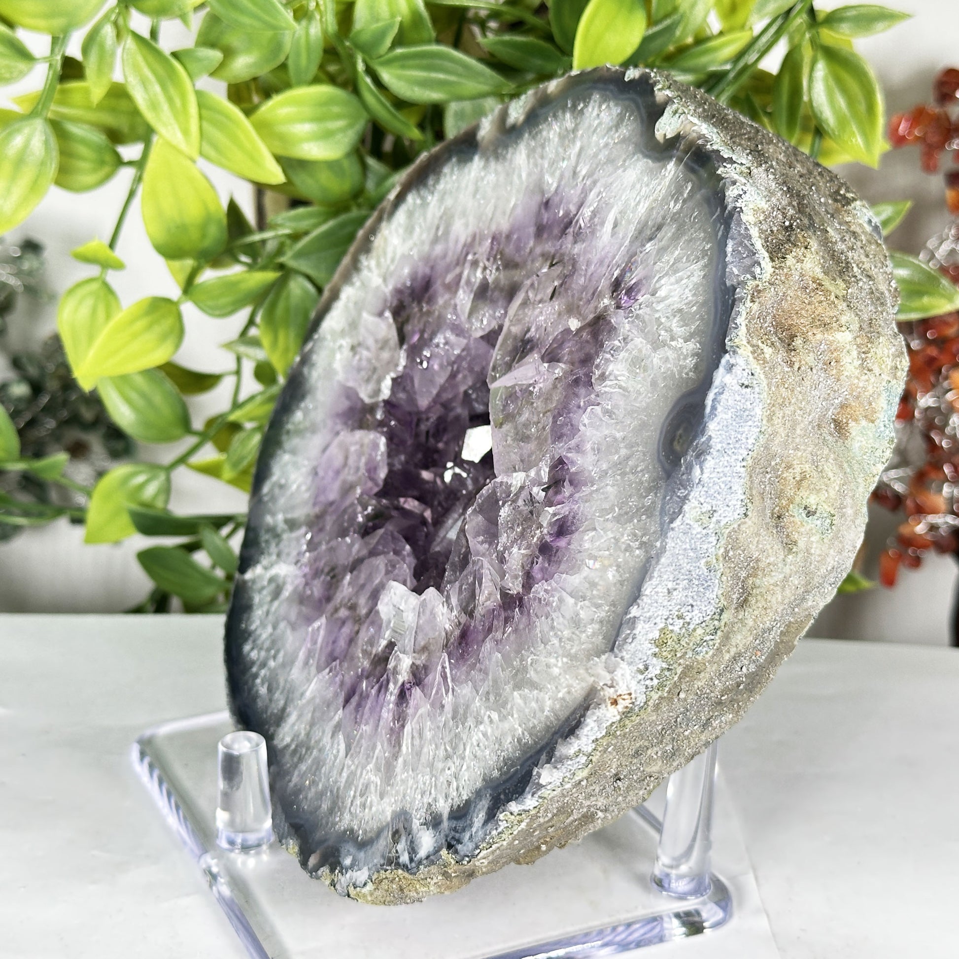 Amethyst Crystal Geode - Gem Avenue Retail